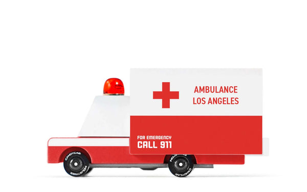 Ambulance Van - The Gray Dragon