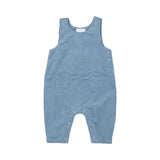 Solid Glacier Lake Uni Overalls