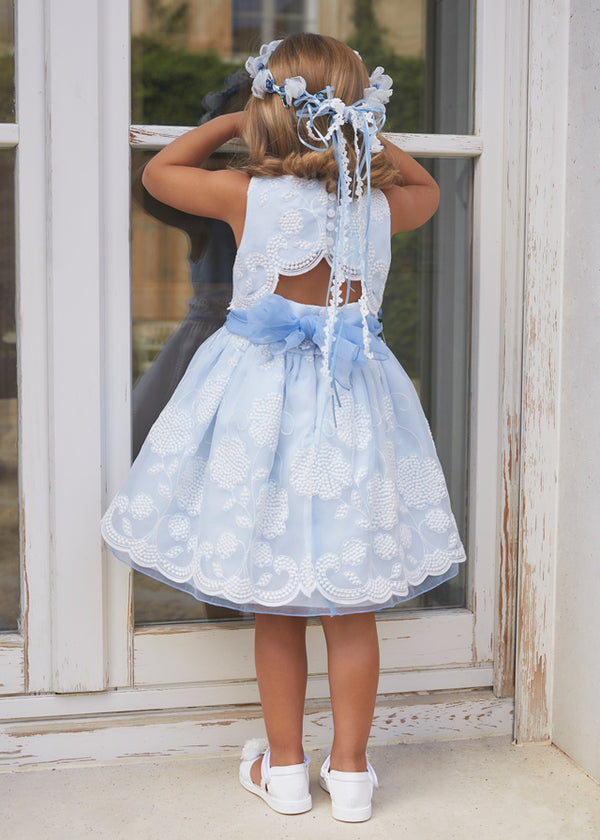 Girl Wearing Embroidered Organza Dress, Back View