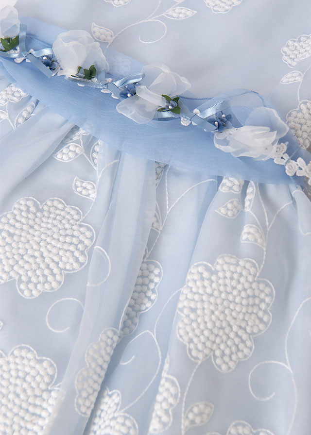 Embroidered Organza Dress, Close Up of Waistband