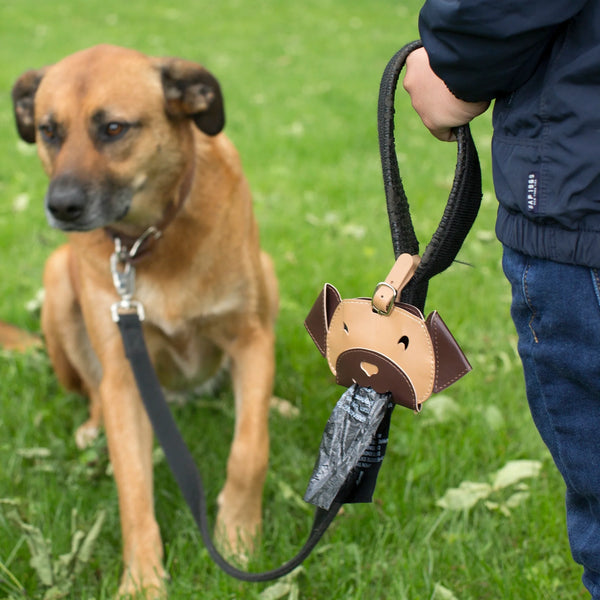 Poo Bag Carrier Dispenser