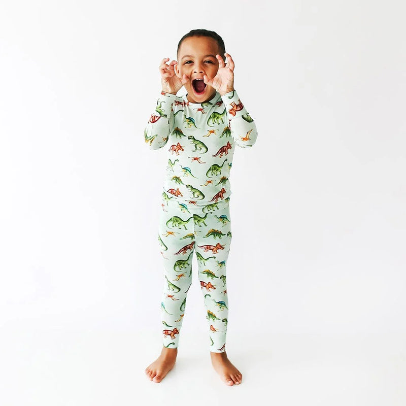 Posh Peanut Buddy Dinosaur Long Sleeve Pajamas