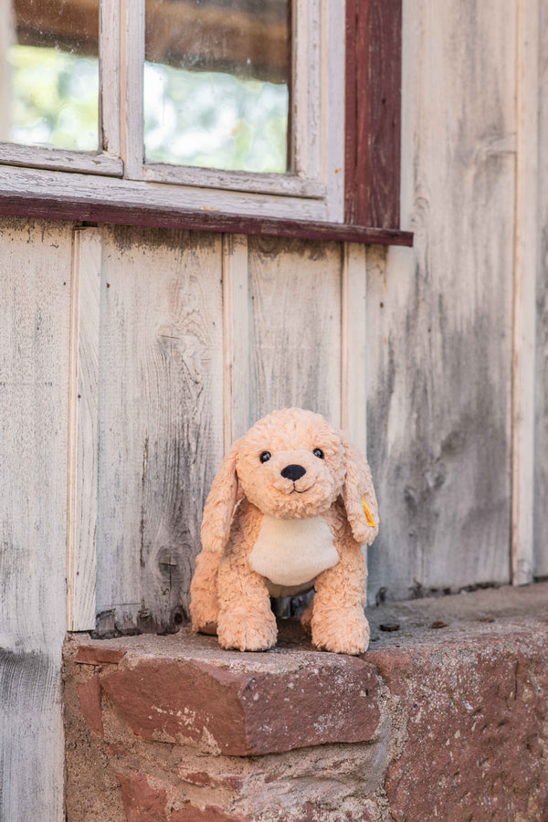 Berno Goldendoodle